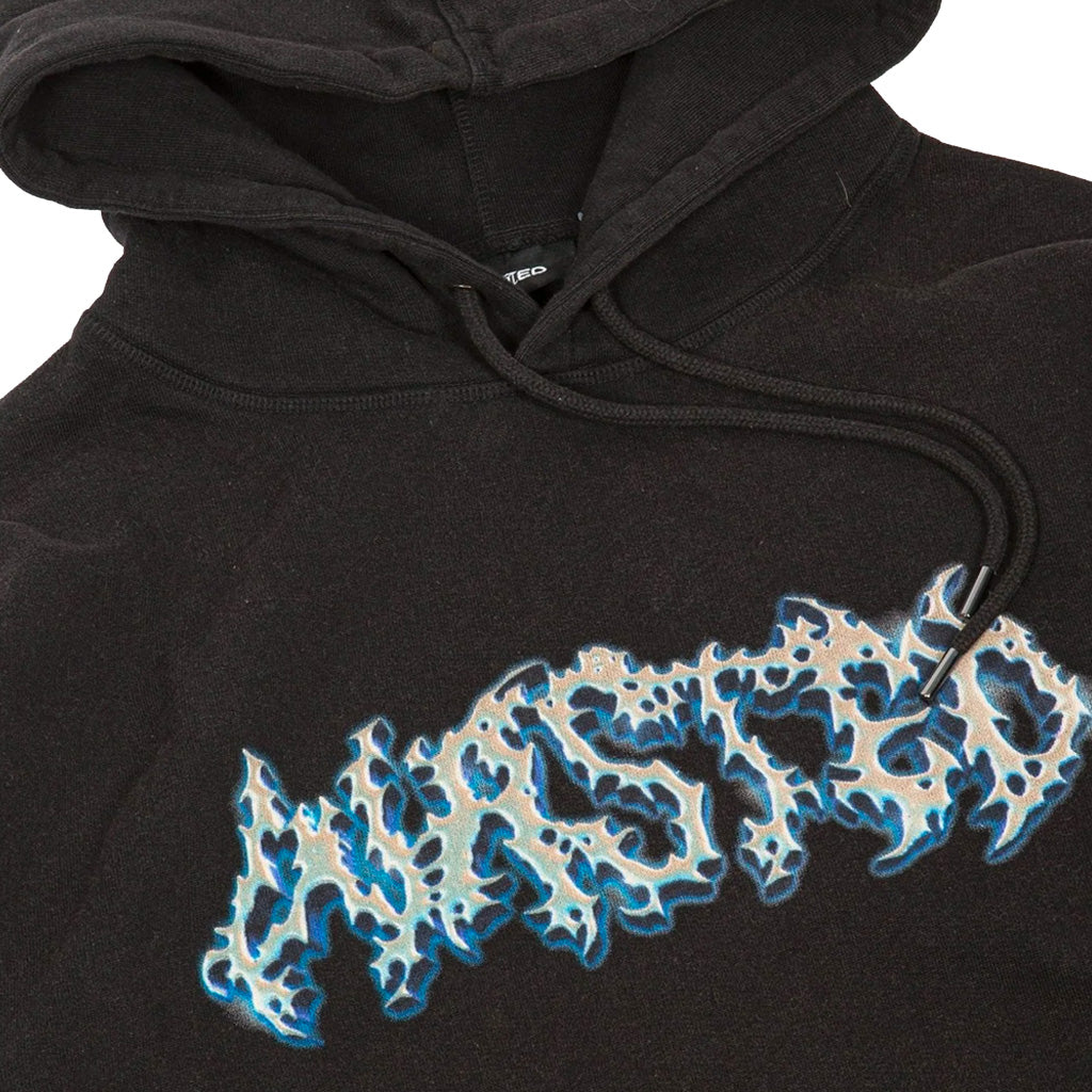 Wasted Paris Hoodie Viper faded black