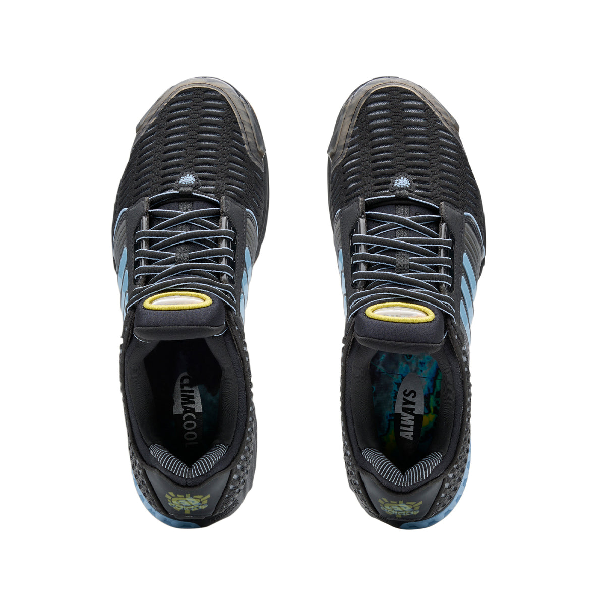 Adidas x Always ADWYSD "Climacool 1" black/grey/ light blue