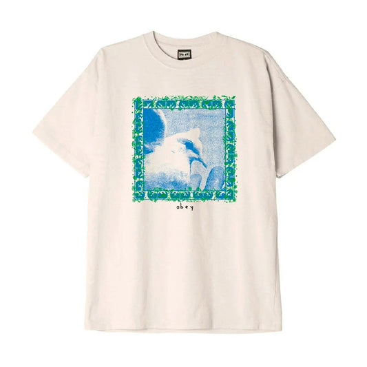 Obey - T-Shirt - Eyes Dove - sago - Online Only!